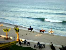 馬とビーチ